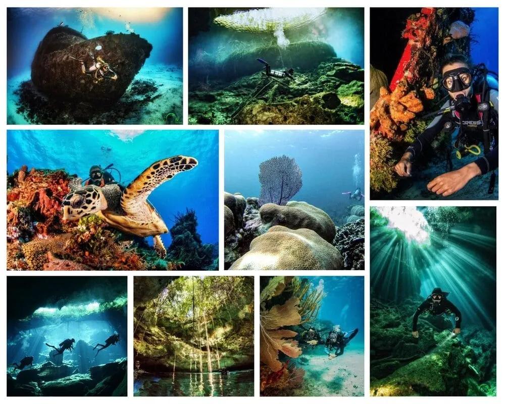 collage2 - © dune mexico