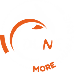 Dune Mexico