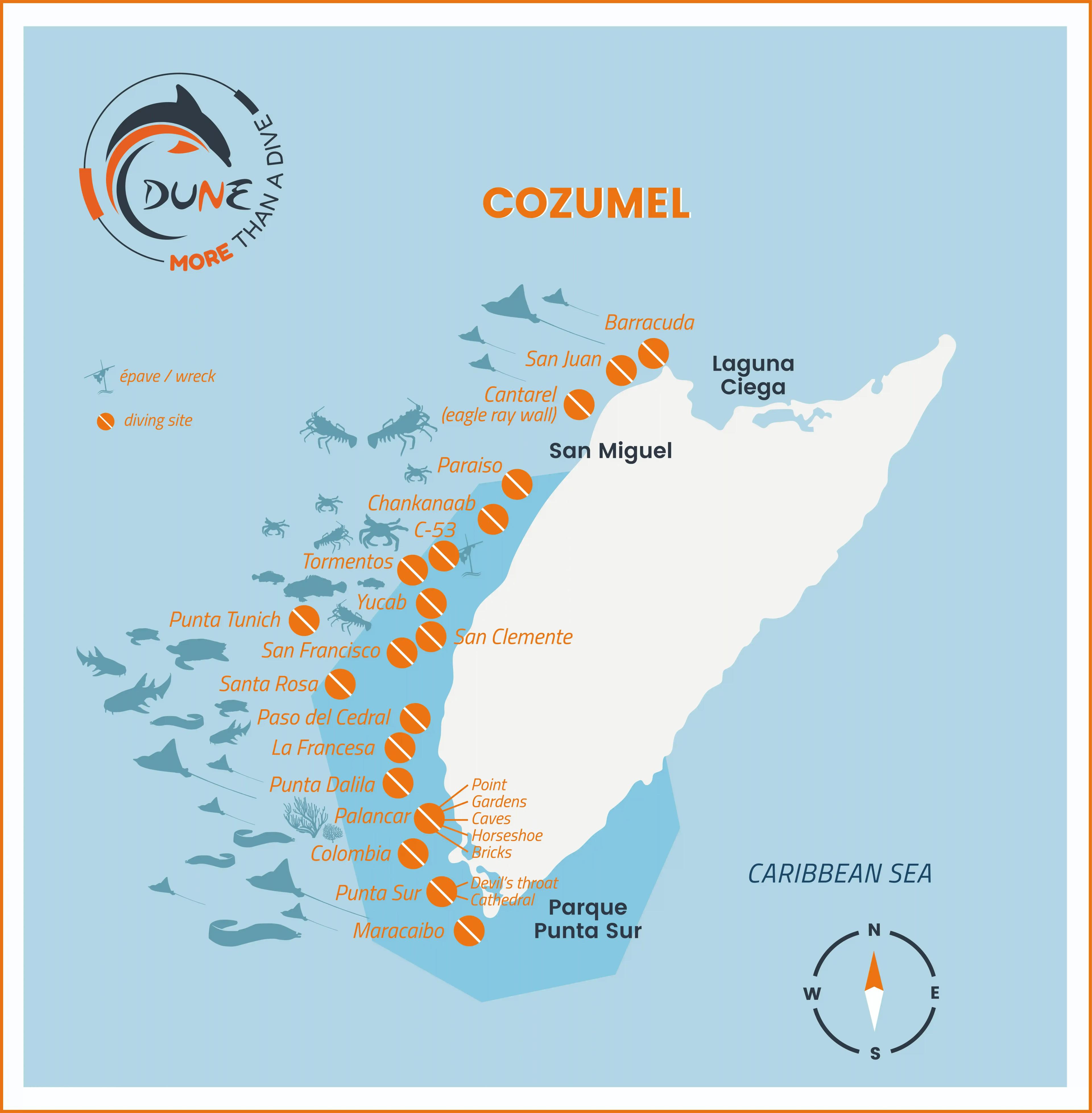 map of dive sites in cozumel - © dune mexico