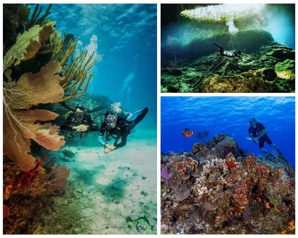 divers - © dune mexico