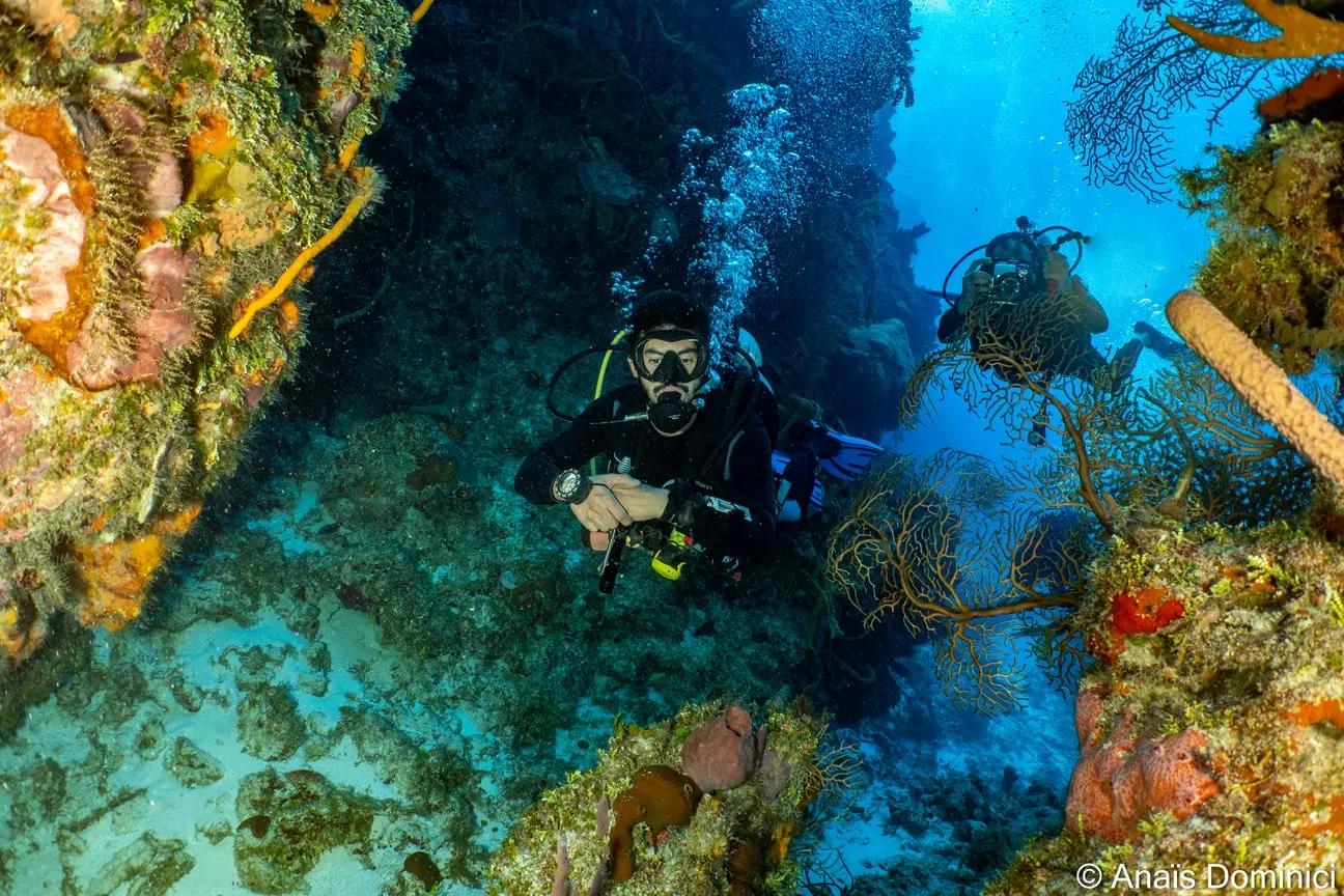 diver on boat - © Dune Mexico