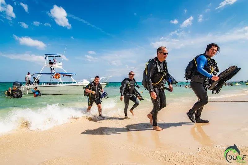 divers in beach - © Dune Mexico